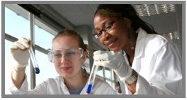 Scientists in the Lab...