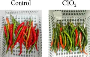 Chlorine Dioxide used in the Food Industry...